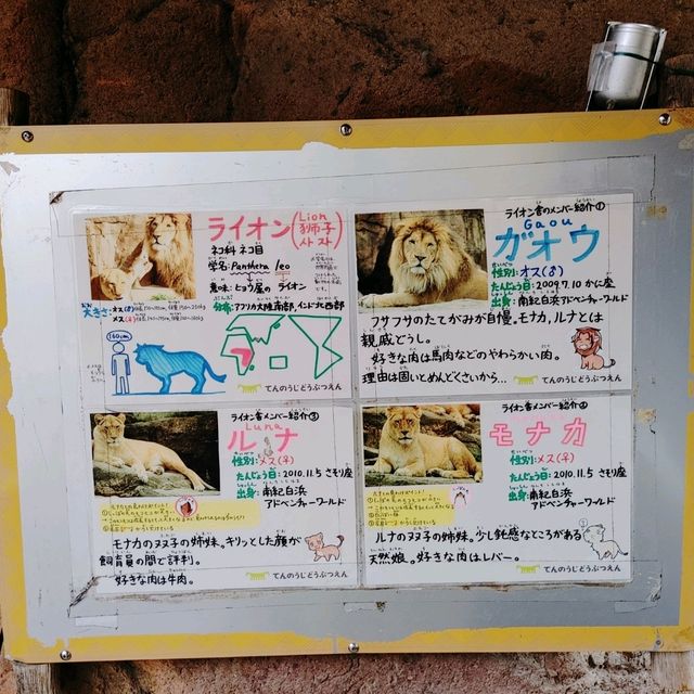 通天閣とサバンナの野生動物が一緒に楽しめる　天王寺動物園