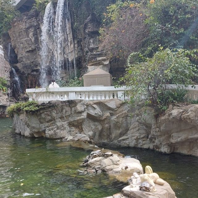 親子好去處—香港公園