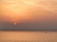 일출맛집! 수선화도 예쁜 오륙도해맞이공원🌅