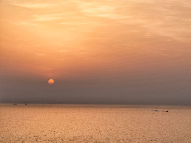 일출맛집! 수선화도 예쁜 오륙도해맞이공원🌅