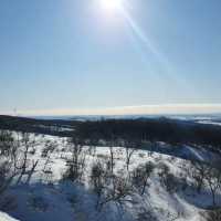 車遊北海道阿寒摩周國立公園