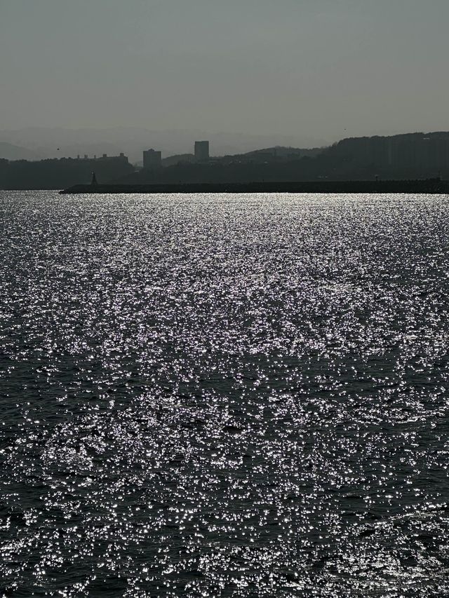 푸른 동해바다 바로 위에서 산책할 수 있는 해랑전망대 🌊🤍