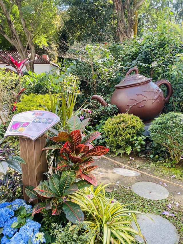 一次過欣賞各色各樣花卉  在市中心盛放📍香港公園