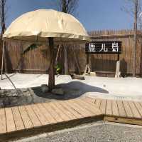 墾丁鹿ㄦ島水豚生態園區Paradise of capybara