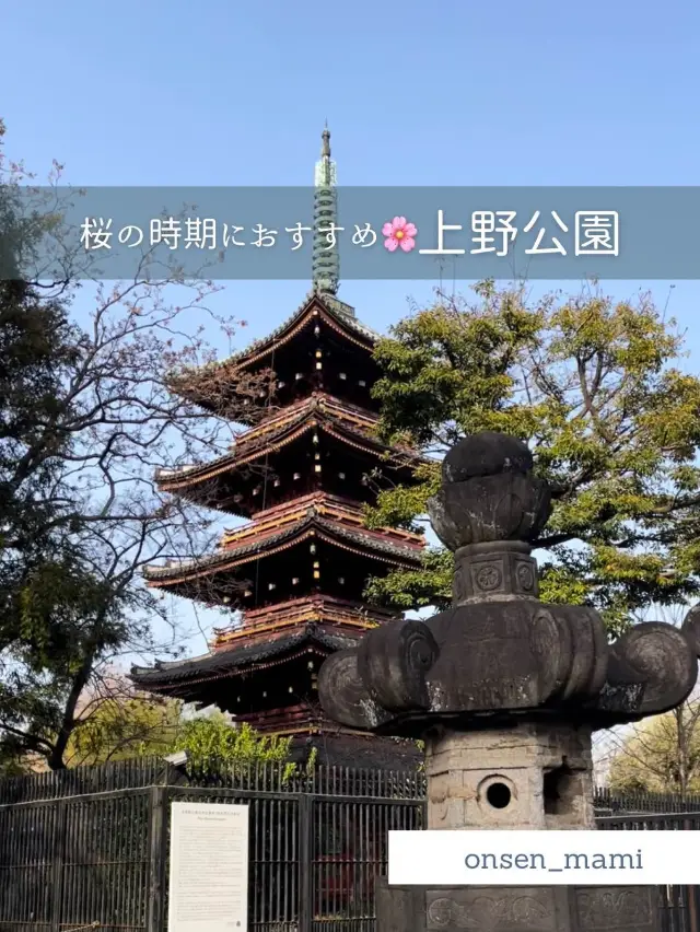 【東京 上野】桜の時期におすすめ🌸上野公園お散歩👣