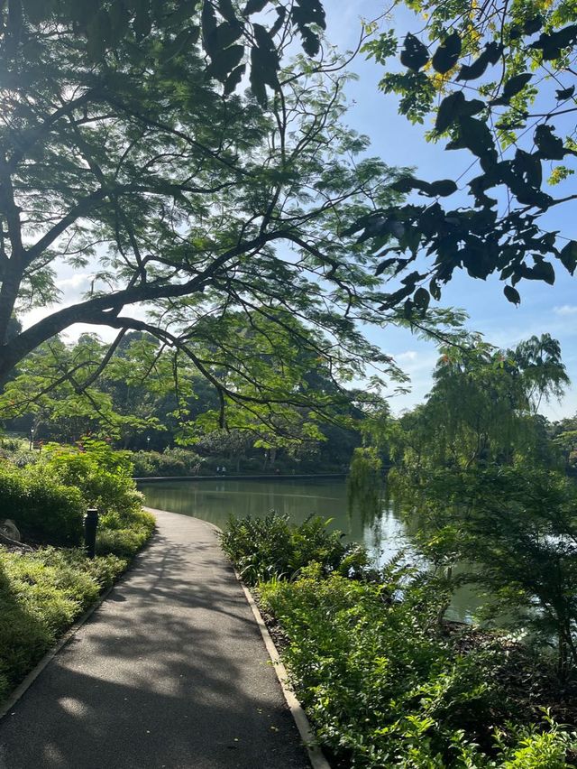 🌿 싱가포르 도심 속에 있는 거대한 자연 [보타닉가든]