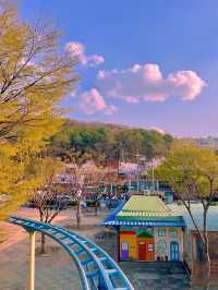 동화 속에 온 듯한 벚꽃뷰 놀이공원 🎡🌸