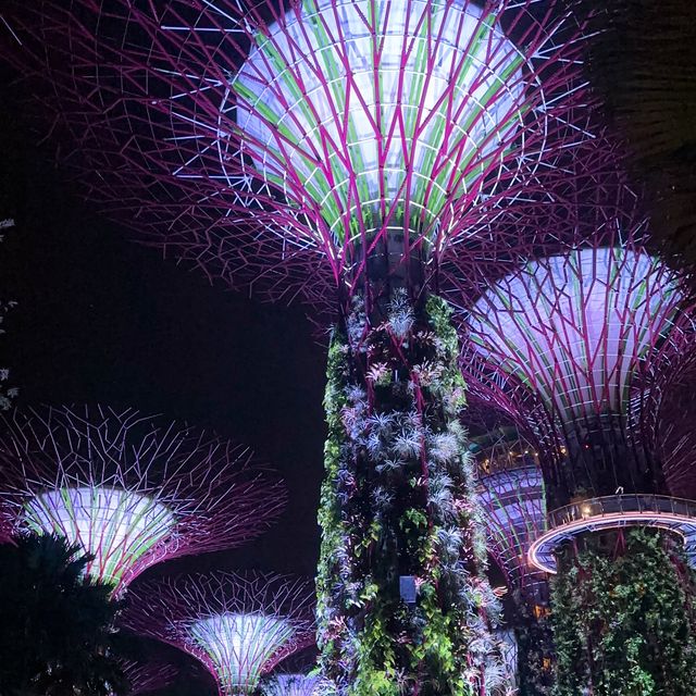 【シンガポール】🇸🇬でイルミネーションを見るならここ❤︎