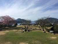 日本12座現存天守的城堡之一四國宇和島城