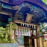 【香川】785段の石段登った先にある神社⛩️