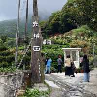 台北陽明山-繡球花園