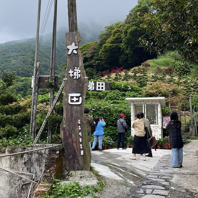 台北陽明山-繡球花園