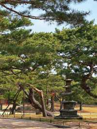 《首爾》一起探訪世界文化遺產昌德宮
