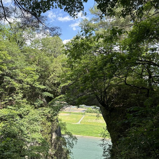 단양 여름여행 모음🌿💚