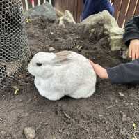 親親大動物 - 九州自然動物園
