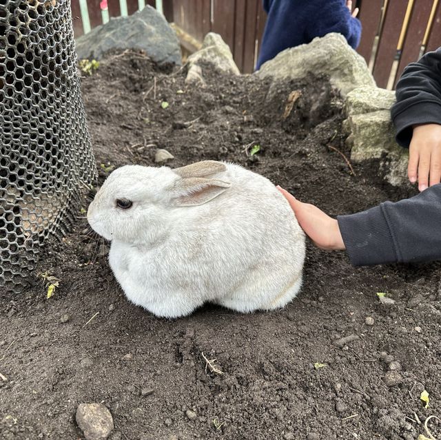親親大動物 - 九州自然動物園
