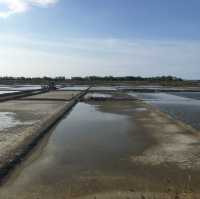 Sweet Salt Farm