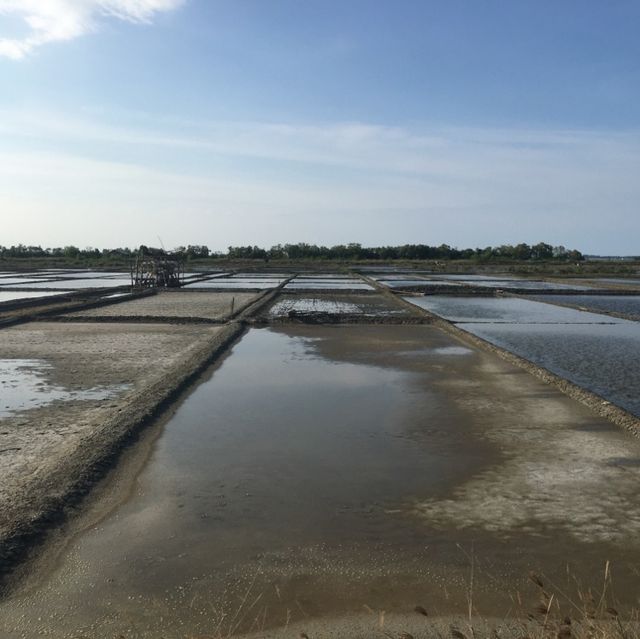 Sweet Salt Farm