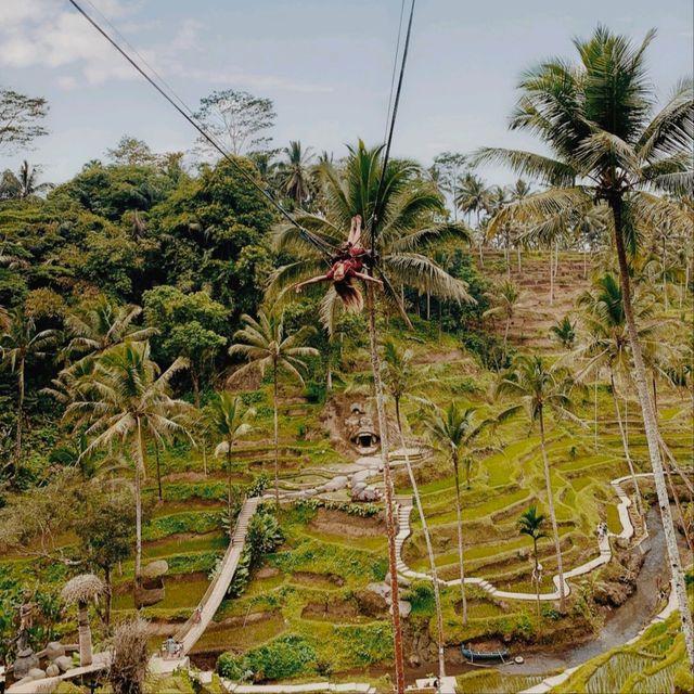 Alas Harum, Bali