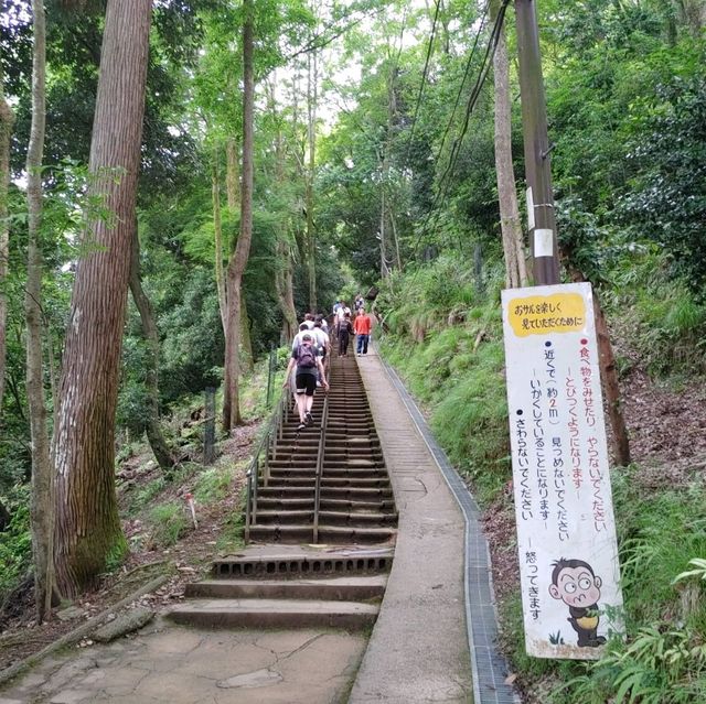 間近で可愛いおサルにエサをあげられる！