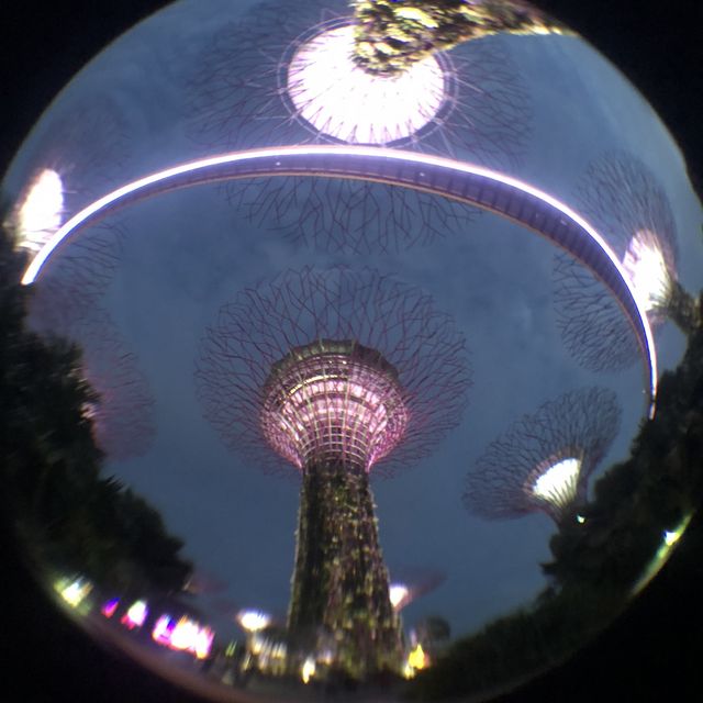 【シンガポール】近未来植物園ガーデンバイザベイ