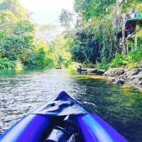Amazing our jungle house 
