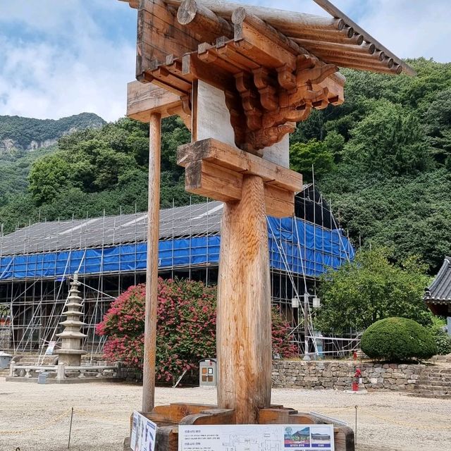 일제에서 돌아온 지장보살