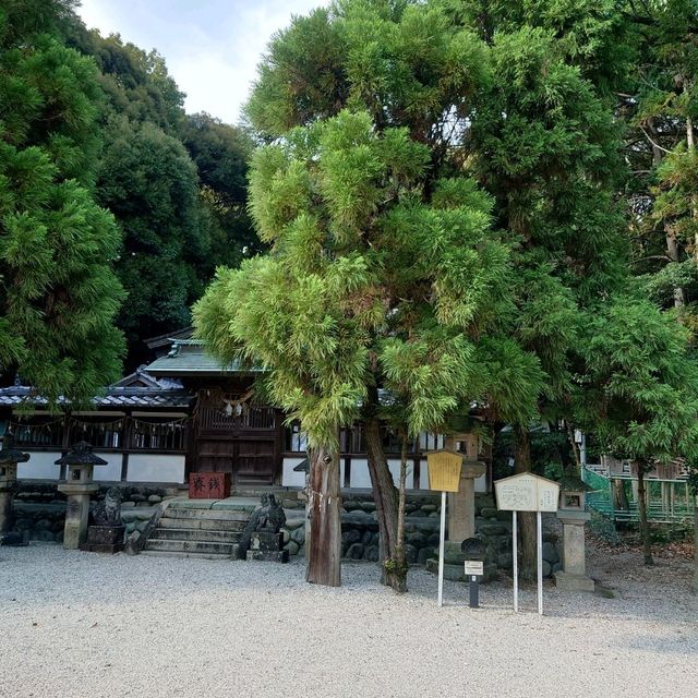 愛知旅行！桶狭間の戦い「桶狭間天満社」