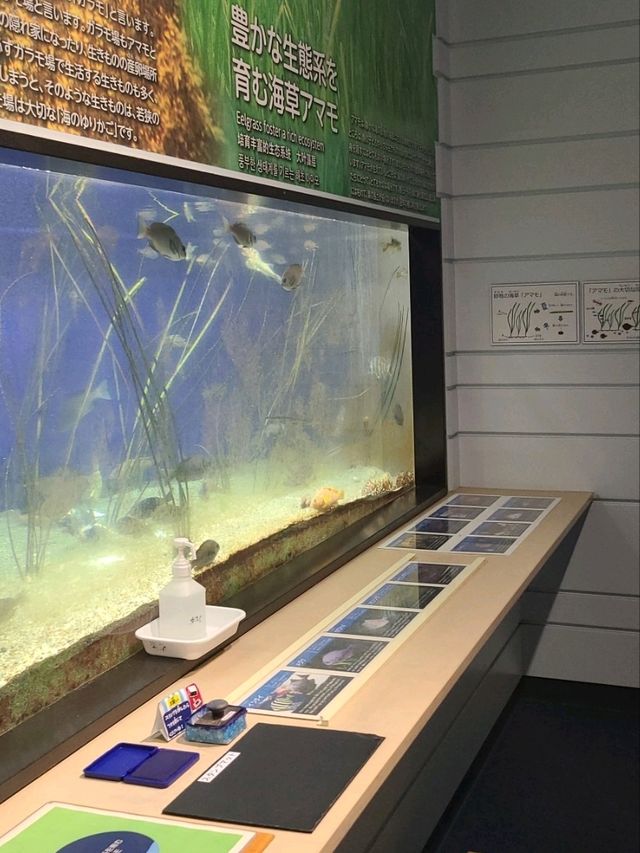【福井】入館無料で楽しめる水族館