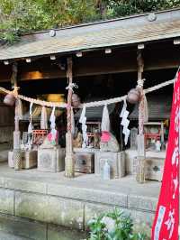 【神奈川県/八雲神社】鎌倉の厄除さん