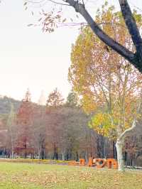 【大邱樹木園】秋の散歩にぴったりな所🍂
