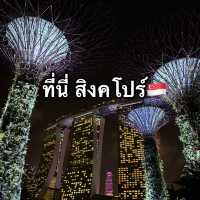 เที่ยว Gardens By The Bay ที่สิงคโปร์กันเถอะ 🇸🇬