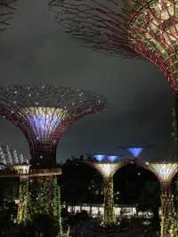 Exploring the Garden city - Garden by the bay