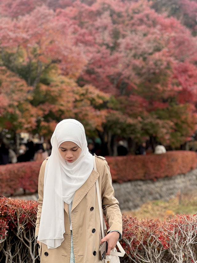 Maple Leaf Festival @ Momiji Corridor 🇯🇵
