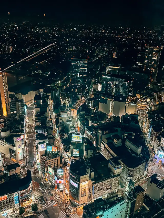 Visit Shibuya Sky to see Tokyo below