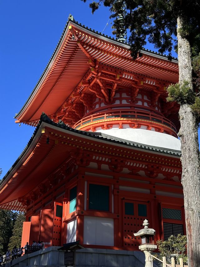 高野山：霊と自然の調和 🏞️🏯