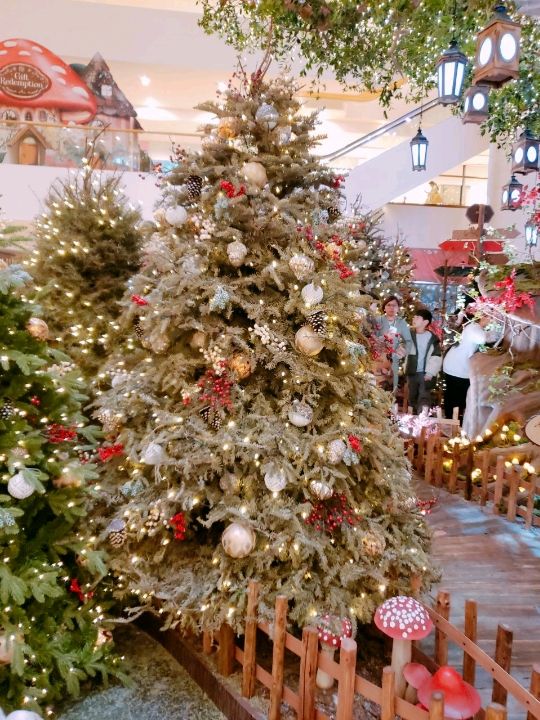 🎄太古廣場🎄奇幻森林