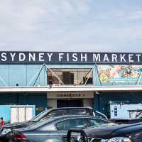 Seafood Paradise at Sydney Fish Market