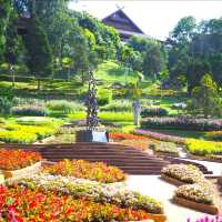 ชมดอกไม้งาม บานตลอดปี ที่  สวนแม่ฟ้าหลวง  ดอยตุง