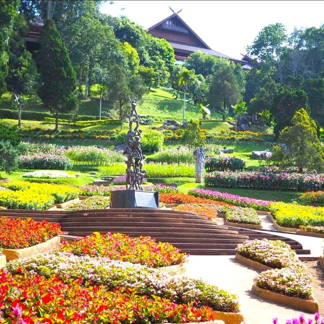 ชมดอกไม้งาม บานตลอดปี ที่  สวนแม่ฟ้าหลวง  ดอยตุง