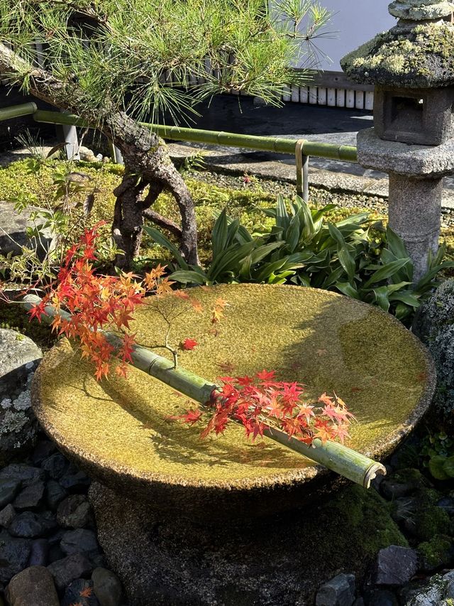 《不能錯過的圓光寺》