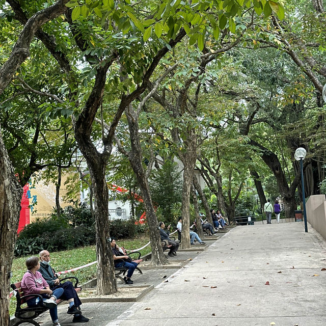 홍콩 구룡공원에서 즐기는 자연 속에서의 힐링 🌴