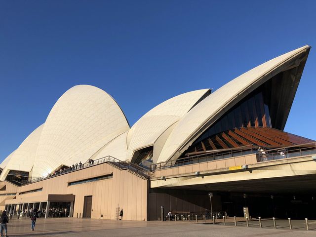 🌎悉尼歌劇院：澳洲地標，世界文化遺產🌎