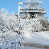 The Beauty of Deogyusan NationalPark inWinter