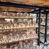 🇯🇵東京最新打卡點：豪德寺⛩️ 打卡招財貓大爆發🐱🤑