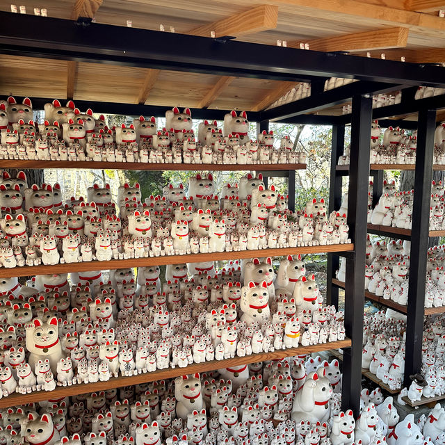 🇯🇵東京最新打卡點：豪德寺⛩️ 打卡招財貓大爆發🐱🤑