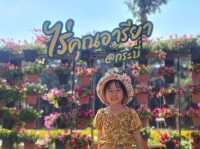 สวนดอกไม้ จ.กระบี่