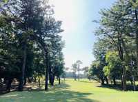Forest Course for Golf