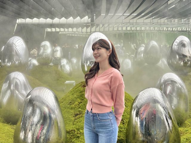 비오는 도쿄에서 가기 좋은 실내 이색 전시회 추천💚