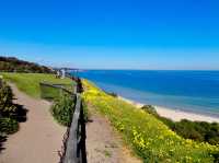 Edward Street Beach